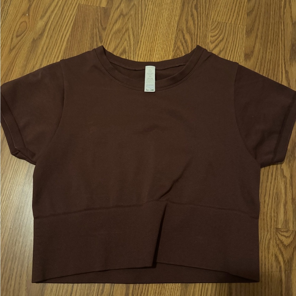 Aerie Brown Crop Top